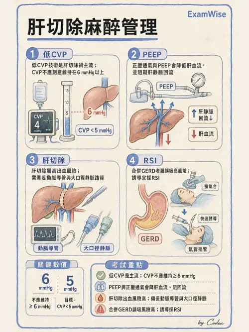 麻醉專護 - 腹部一般外科與胸腔手術麻醉 - AI 圖文解析預覽