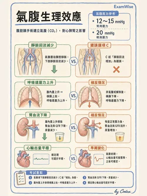麻醉專護 - 泌尿/婦科/機器人腹腔鏡手術麻醉 - AI 圖文解析預覽