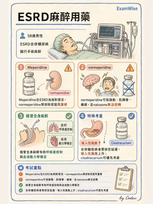 麻醉專護 - 術前評估與風險管理 - AI 圖文解析預覽