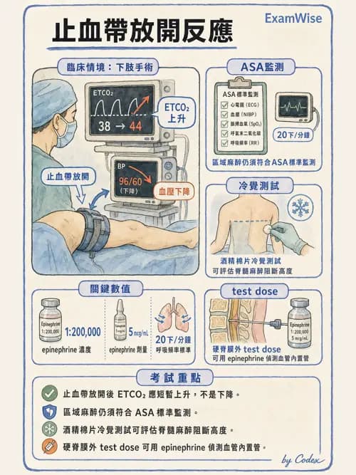 麻醉專護 - 骨科手術麻醉 - AI 圖文解析預覽