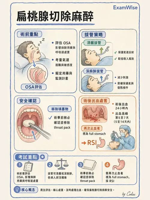 麻醉專護 - 頭頸/耳鼻喉/眼科手術麻醉 - AI 圖文解析預覽