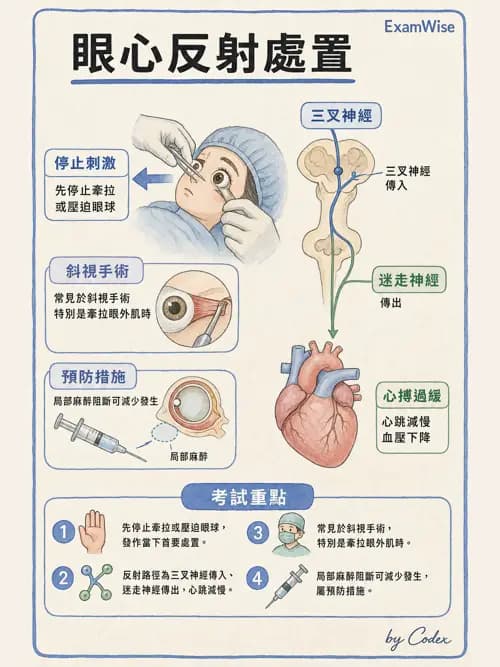 麻醉專護 - 頭頸/耳鼻喉/眼科手術麻醉 - AI 圖文解析預覽