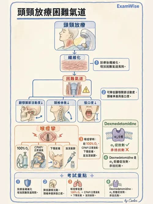 麻醉專護 - 困難氣道評估與插管技術 - AI 圖文解析預覽