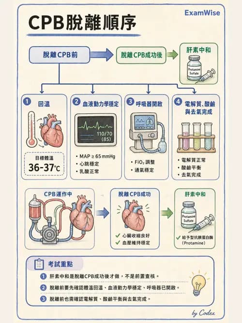 麻醉專護 - 心臟手術與體外循環麻醉 - AI 圖文解析預覽