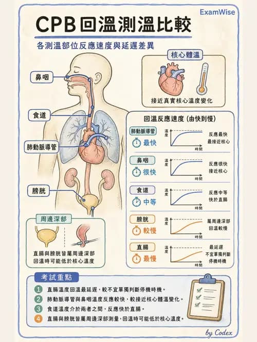 麻醉專護 - 心臟手術與體外循環麻醉 - AI 圖文解析預覽