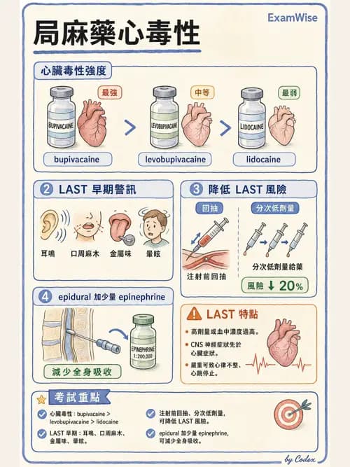 LAST - 局部麻醉藥與全身毒性反應 - AI 圖文解析預覽