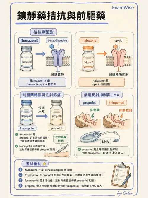 麻醉專護 - 鎮靜安眠藥、吸入性麻醉藥與TIVA - AI 圖文解析預覽