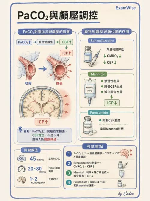 麻醉專護 - 神經外科與脊椎手術麻醉 - AI 圖文解析預覽