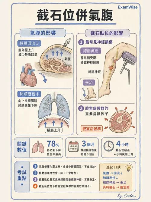 麻醉專護 - 泌尿/婦科/機器人腹腔鏡手術麻醉 - AI 圖文解析預覽