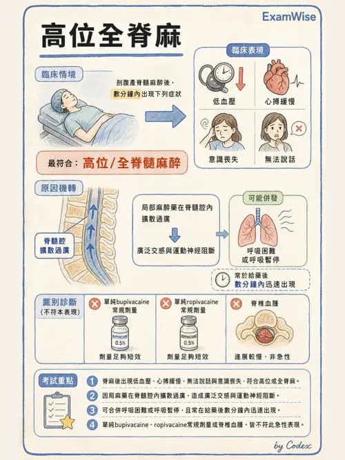 麻醉專護 - 產科麻醉 - AI 圖文解析預覽