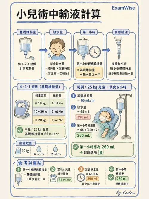 麻醉專護 - 小兒麻醉 - AI 圖文解析預覽