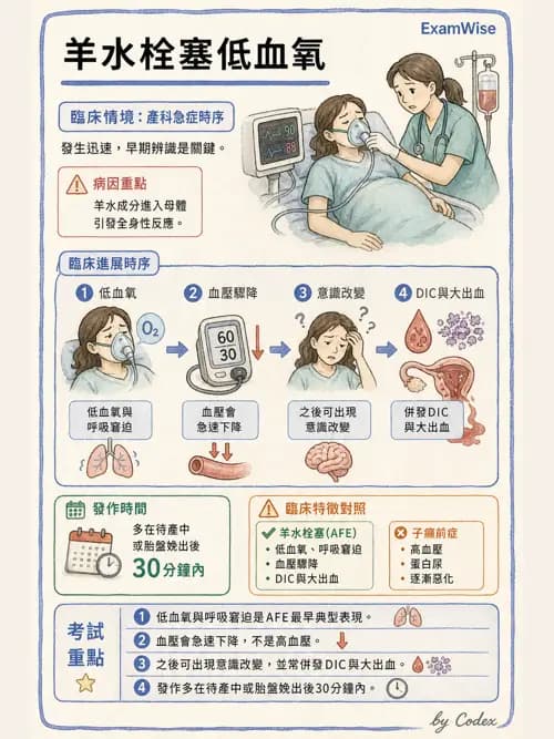 麻醉專護 - 產科麻醉 - AI 圖文解析預覽