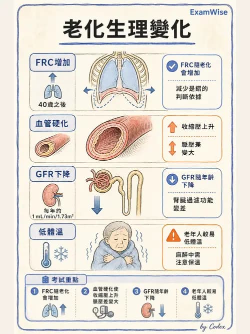 麻醉專護 - 老年麻醉 - AI 圖文解析預覽