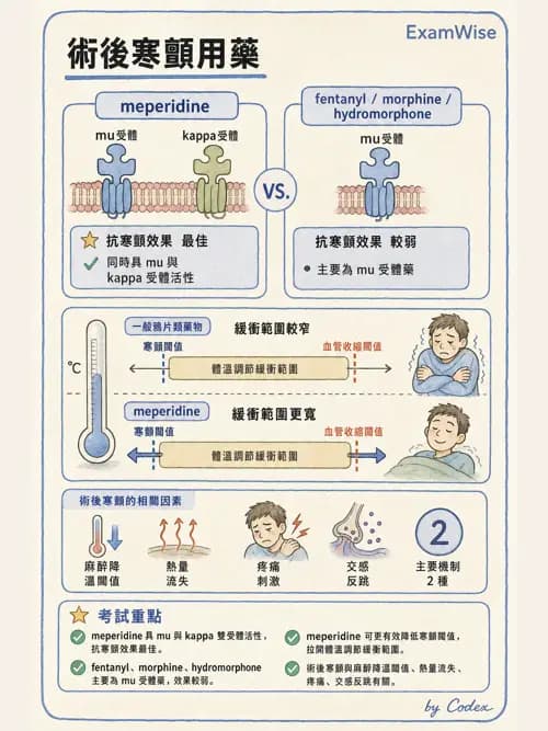 麻醉專護 - PACU照護、PONV與術後寒顫 - AI 圖文解析預覽