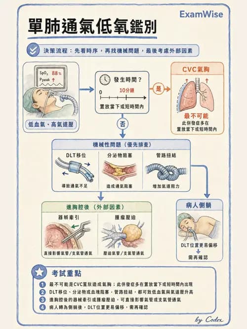麻醉專護 - 單肺通氣與雙腔氣管內管 - AI 圖文解析預覽