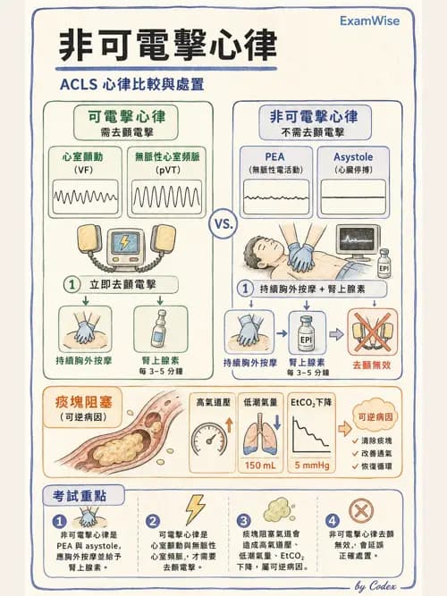 麻醉專護 - 麻醉相關急症 - AI 圖文解析預覽