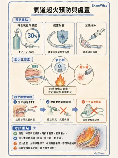 麻醉專護 - 喉痙攣與呼吸道相關併發症 - AI 圖文解析預覽