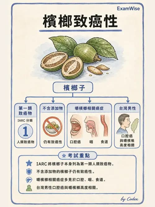 麻醉專護 - 健康促進、篩檢與長期照顧 - AI 圖文解析預覽