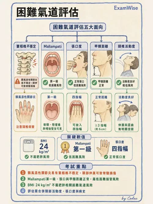 麻醉專護 - 呼吸道評估與處置 - AI 圖文解析預覽