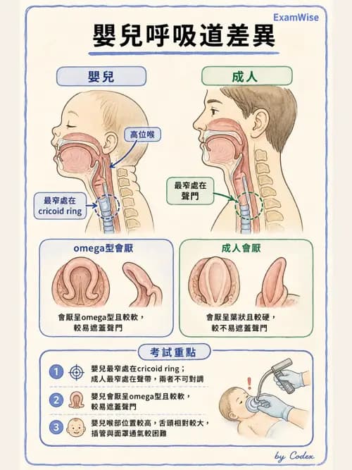 麻醉專護 - 呼吸系統疾病術前評估 - AI 圖文解析預覽