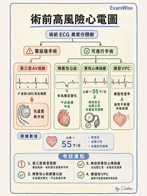麻醉專護 - 心血管疾病術前評估 - AI 圖文解析預覽