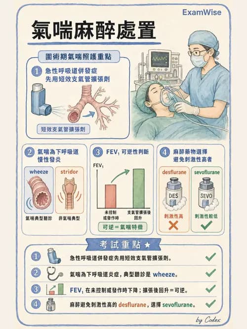 麻醉專護 - 呼吸系統疾病術前評估 - AI 圖文解析預覽