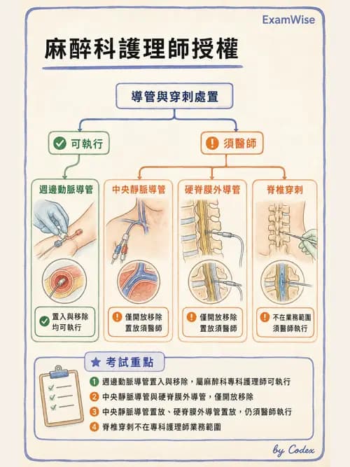麻醉專護 - 麻醉專科護理師執業範圍 - AI 圖文解析預覽