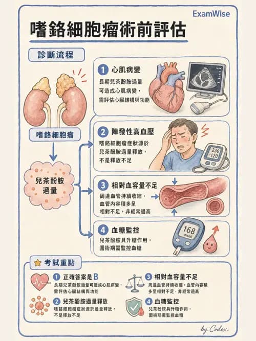 麻醉專護 - 內分泌與代謝疾病評估 - AI 圖文解析預覽