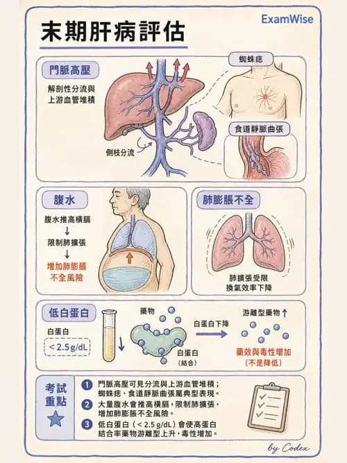 麻醉專護 - 腎臟肝臟疾病與神經生理評估 - AI 圖文解析預覽