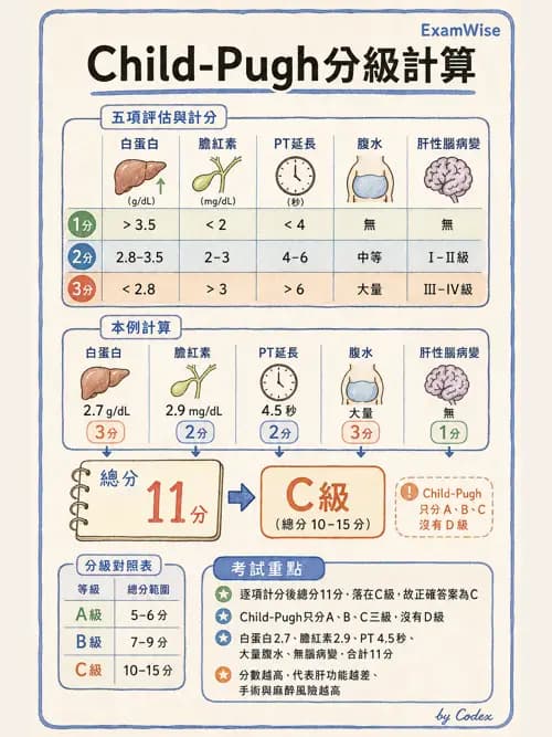 麻醉專護 - 腎臟肝臟疾病與神經生理評估 - AI 圖文解析預覽