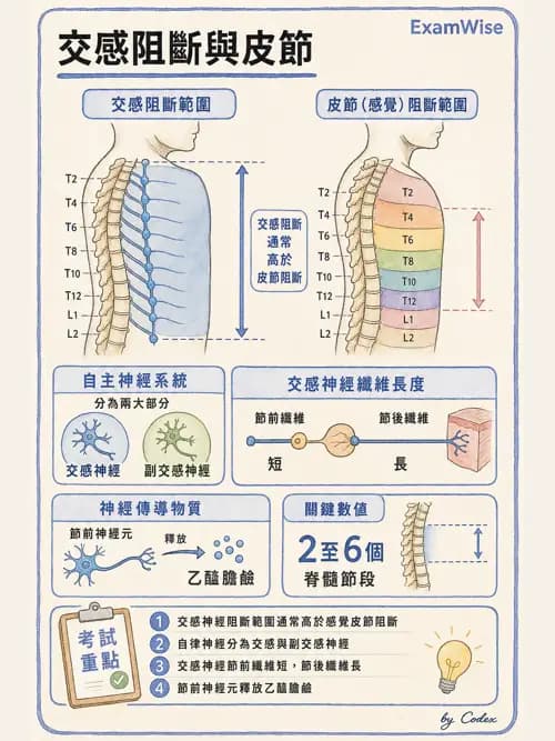 麻醉專護 - 腎臟肝臟疾病與神經生理評估 - AI 圖文解析預覽