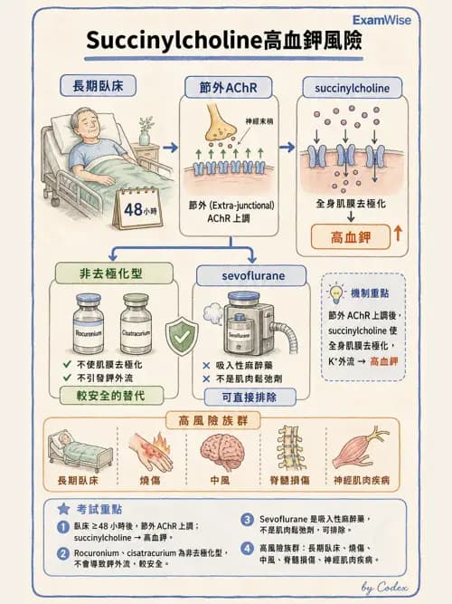 麻醉專護 - 麻醉藥物藥理與肌肉鬆弛劑 - AI 圖文解析預覽