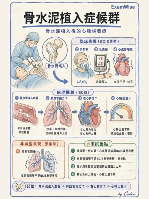 麻醉專護 - 各科手術與特殊族群麻醉 - AI 圖文解析預覽