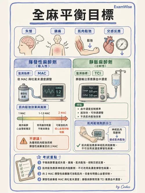 麻醉專護 - 麻醉藥物藥理與肌肉鬆弛劑 - AI 圖文解析預覽