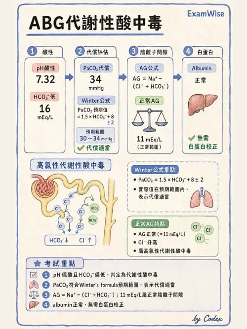 麻醉專護 - 電解質、酸鹼平衡與體液評估 - AI 圖文解析預覽