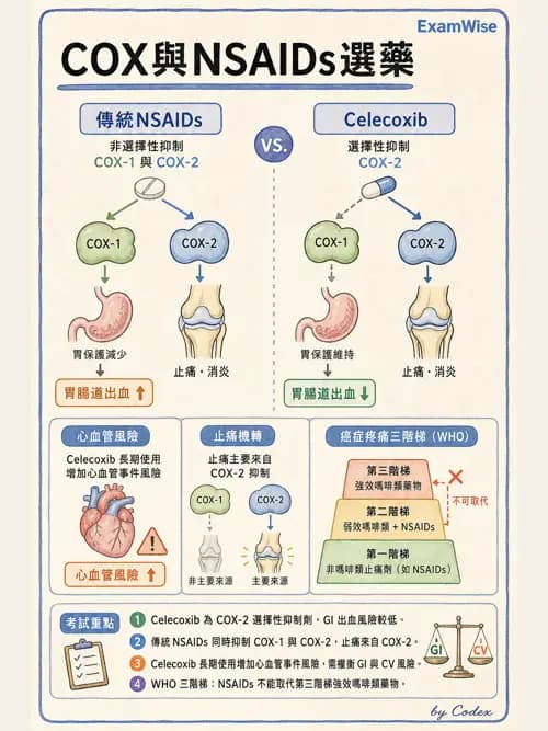 麻醉專護 - 止痛藥物與安寧緩和照護基礎 - AI 圖文解析預覽