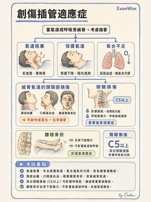 麻醉專護 - 困難氣道評估與插管技術 - AI 圖文解析預覽