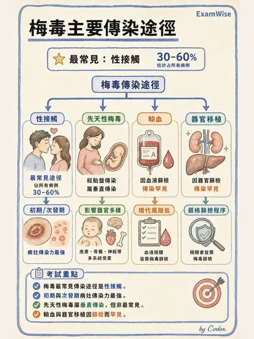麻醉專護 - 感染症、發燒與抗生素 - AI 圖文解析預覽
