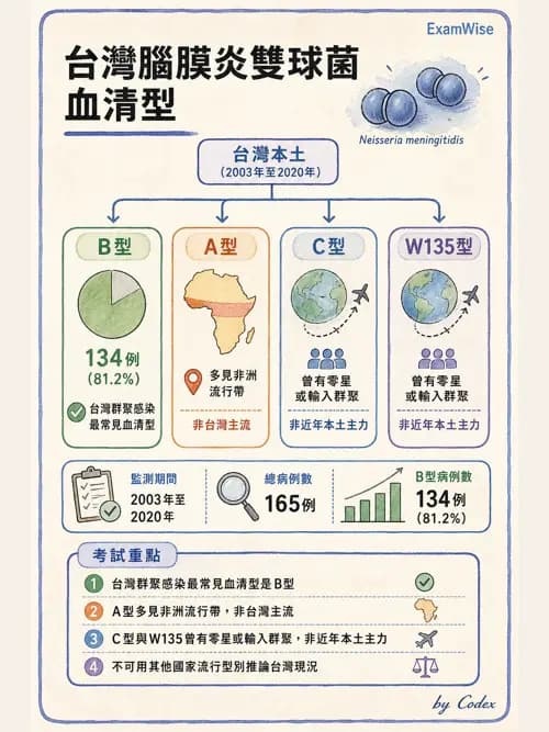麻醉專護 - 感染症、發燒與抗生素 - AI 圖文解析預覽
