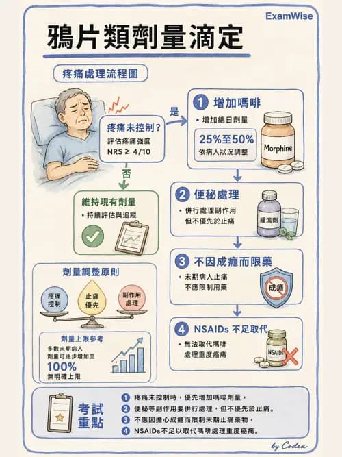 麻醉專護 - 止痛藥物與安寧緩和照護基礎 - AI 圖文解析預覽