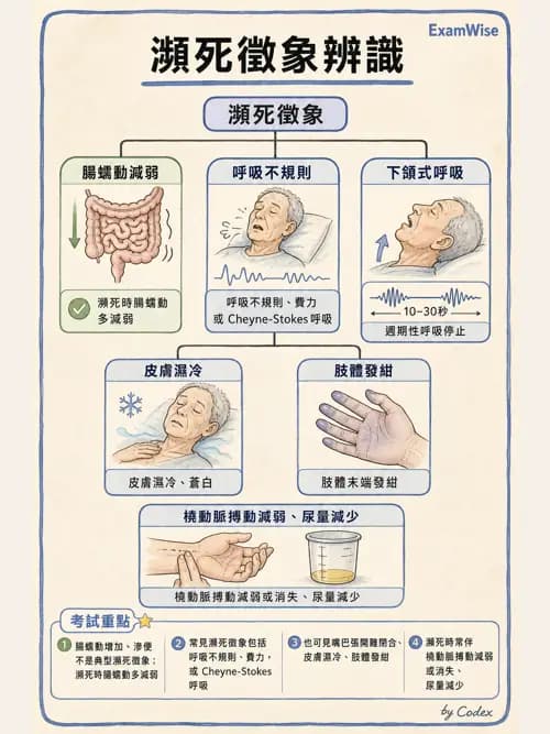 麻醉專護 - 止痛藥物與安寧緩和照護基礎 - AI 圖文解析預覽