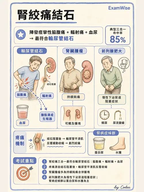 麻醉專護 - 內科疾病鑑別診斷 - AI 圖文解析預覽
