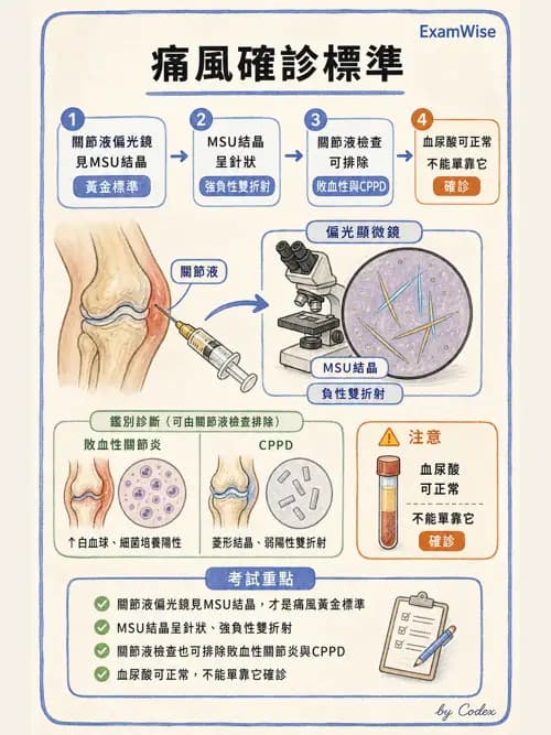 麻醉專護 - 內科疾病鑑別診斷 - AI 圖文解析預覽