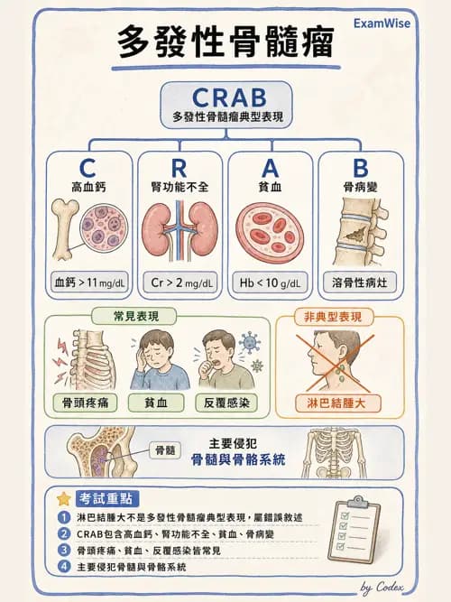 麻醉專護 - 內科疾病鑑別診斷 - AI 圖文解析預覽