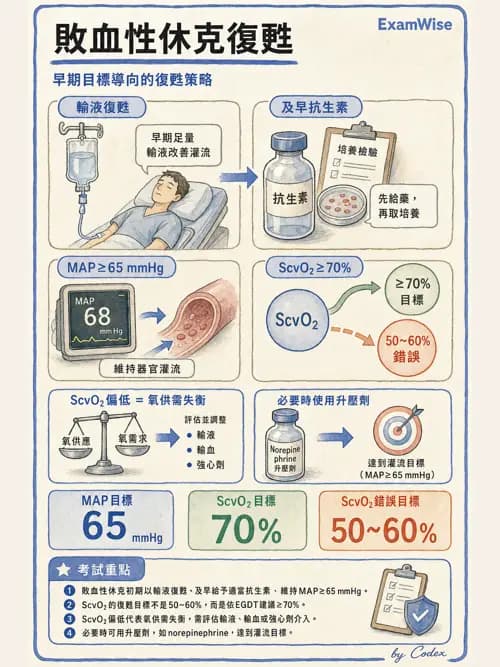 麻醉專護 - 心律不整判讀、ACLS與休克辨識 - AI 圖文解析預覽
