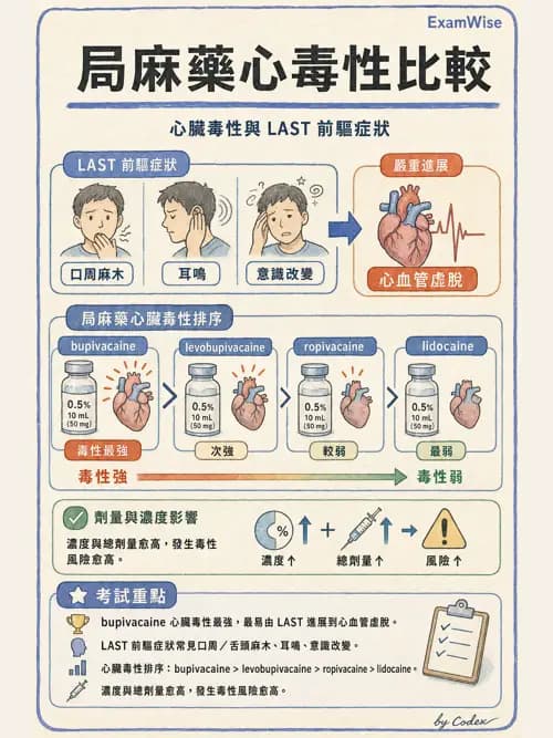 LAST - 局部麻醉藥與全身毒性反應 - AI 圖文解析預覽