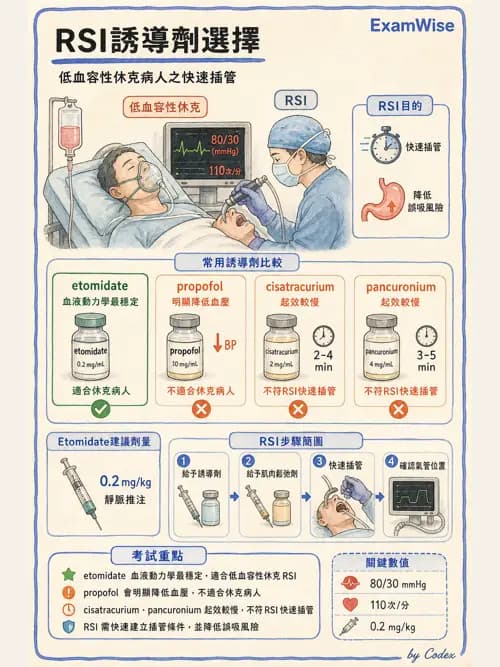 麻醉專護 - 困難氣道評估與插管技術 - AI 圖文解析預覽
