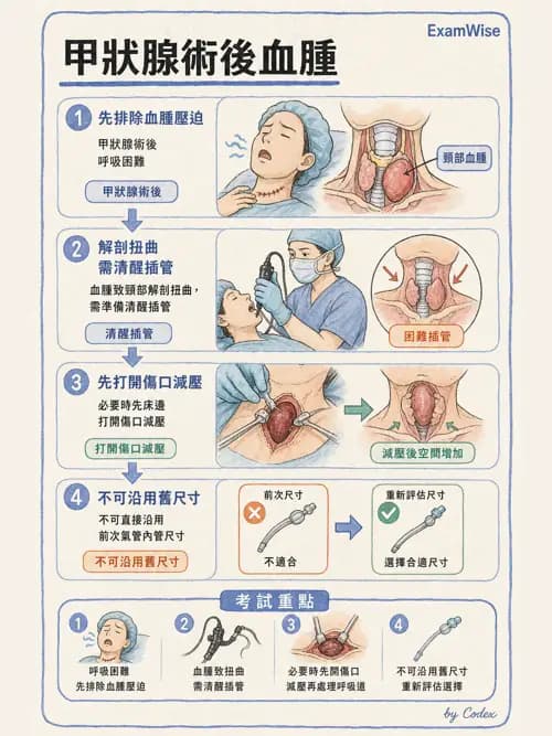麻醉專護 - 頭頸/耳鼻喉/眼科手術麻醉 - AI 圖文解析預覽