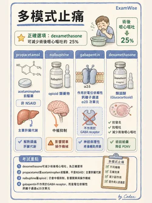麻醉專護 - 急性術後疼痛與多模式止痛 - AI 圖文解析預覽