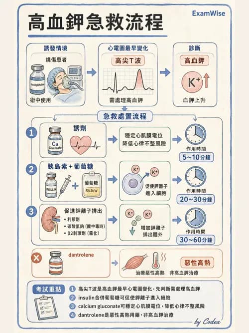 麻醉專護 - 創傷、燒傷與重症麻醉 - AI 圖文解析預覽